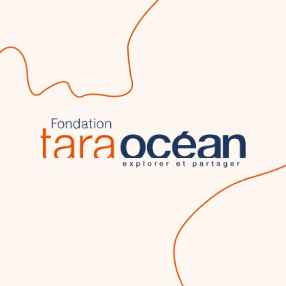 Call for Applications “Art for the Ocean” Residency