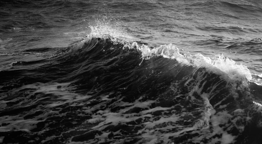 Œuvre de Carly Steinbrunn : photo de vague