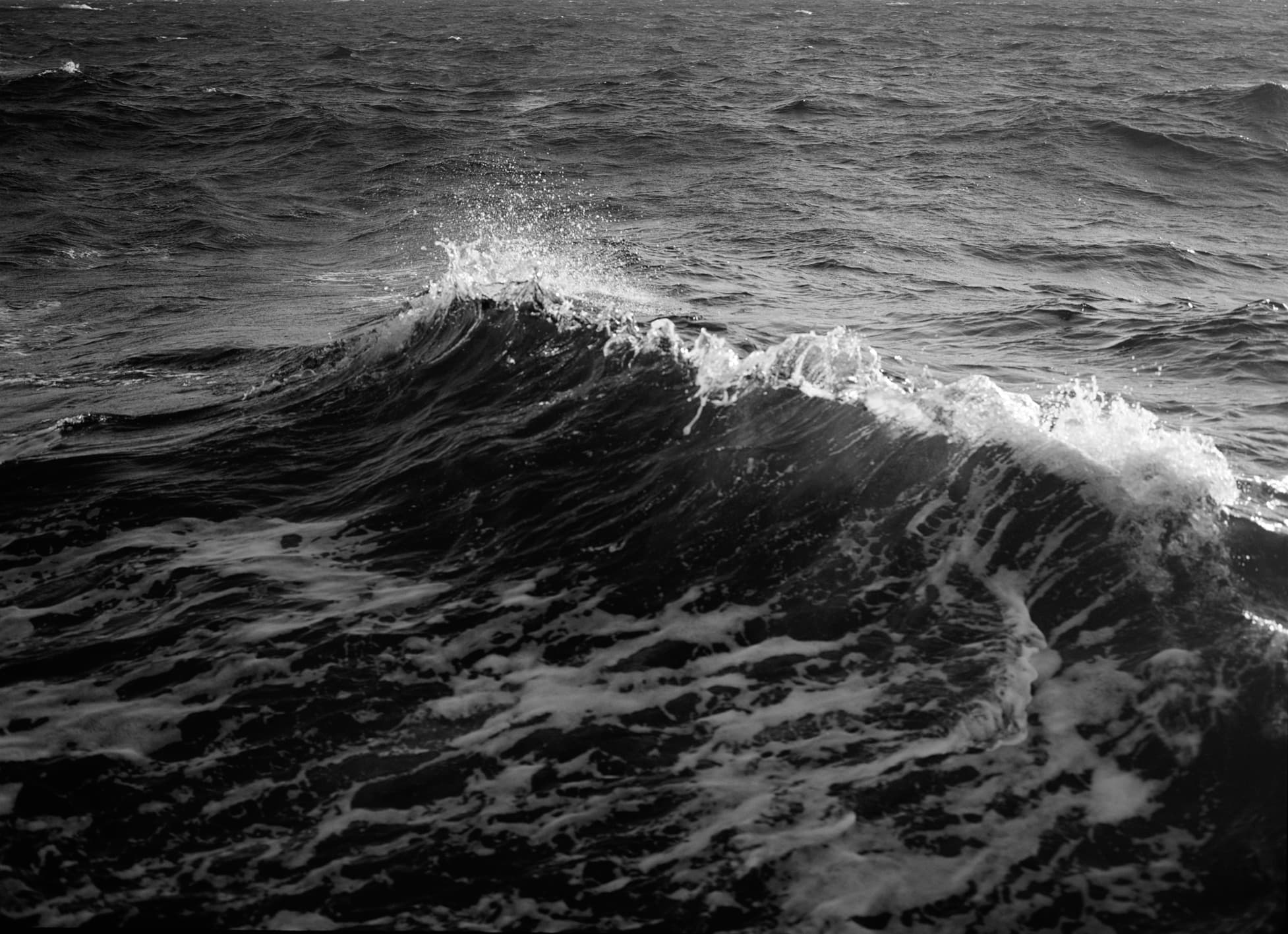 Œuvre de Carly Steinbrunn : photo de vague
