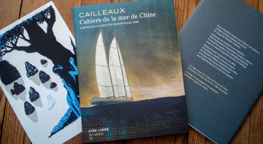Œuvre Christian Cailleaux : Les Cahiers de la Mer de Chine