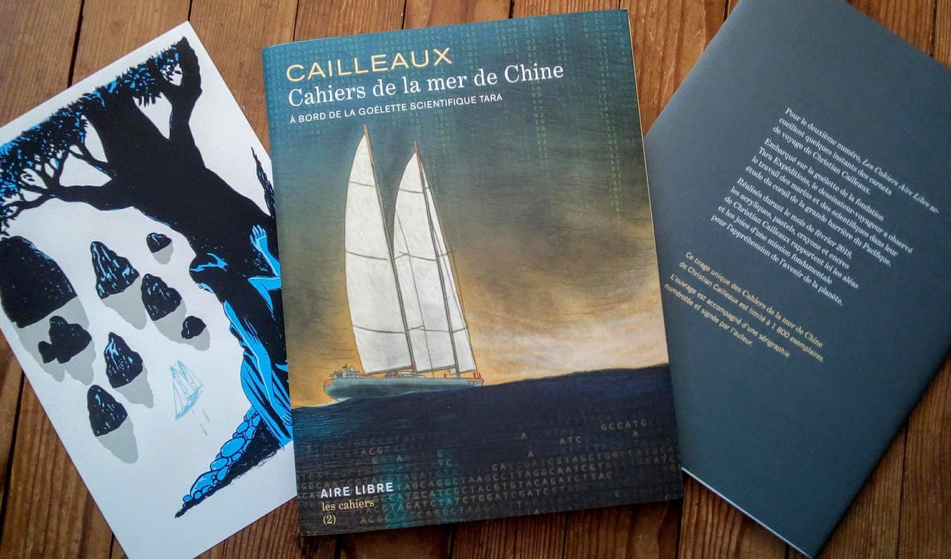 Œuvre Christian Cailleaux : Les Cahiers de la Mer de Chine