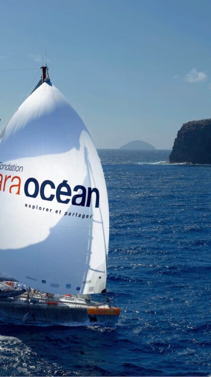 La goélette tara en navigation sur l'Océan