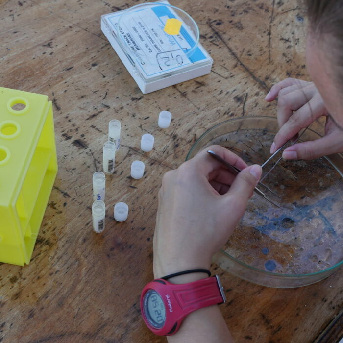 Mélanie traite les échantillons lors de l'expédition Tara Microplastiques