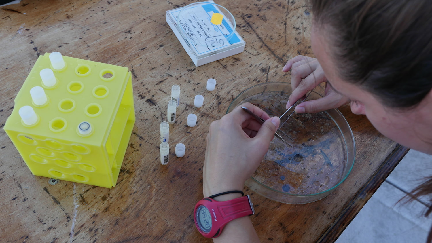 Mélanie traite les échantillons lors de l'expédition Tara Microplastiques