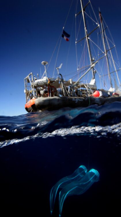 Échantillonnage lors de l’expédition Tara Oceans