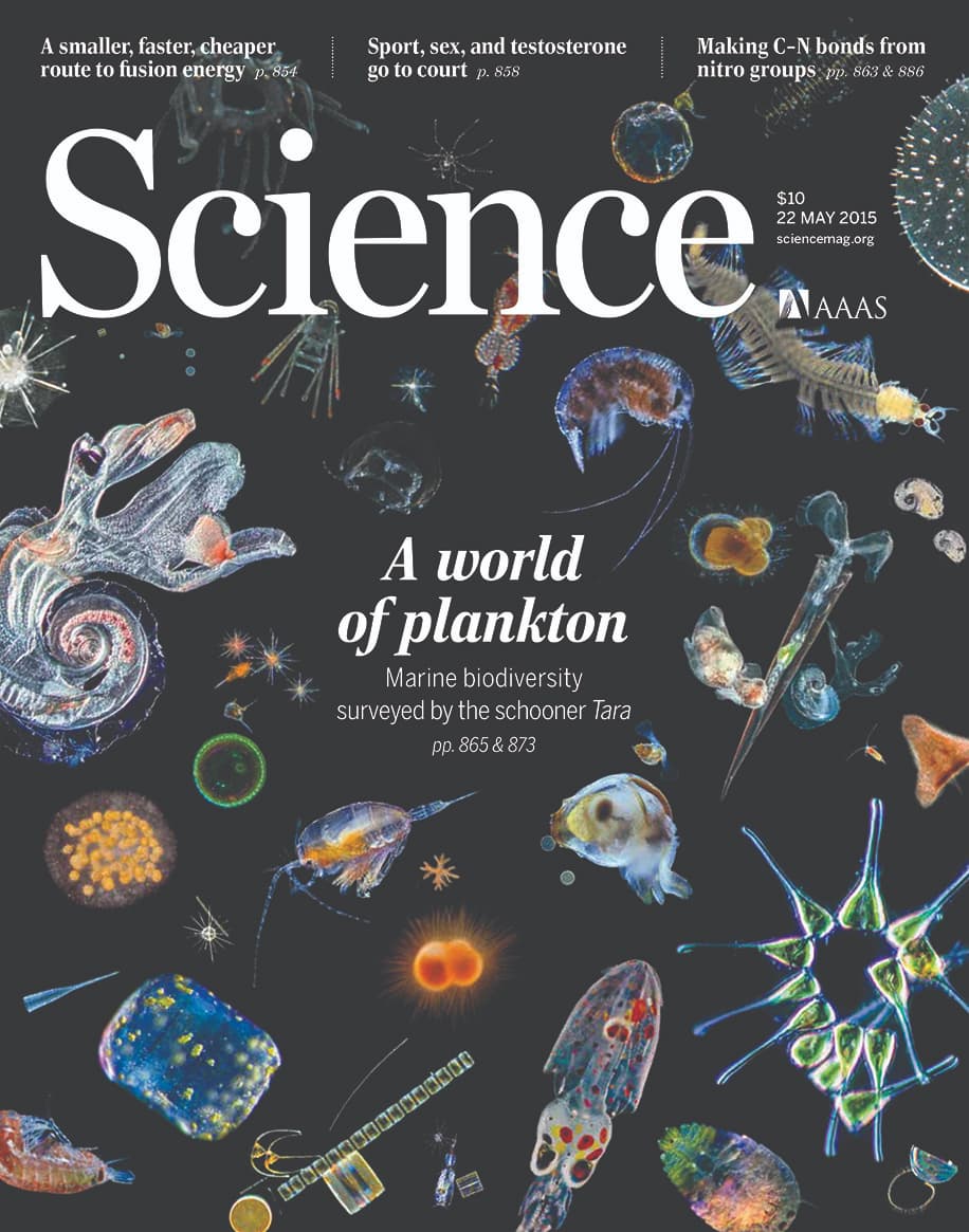 Publication des résultats scientifiques dans la revue "Science".