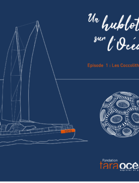 A porthole on the ocean - episode 1: Coccolithophores