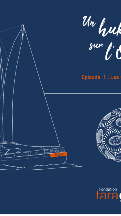 Podcast de Tara - épisode 1 : les coccolithophores