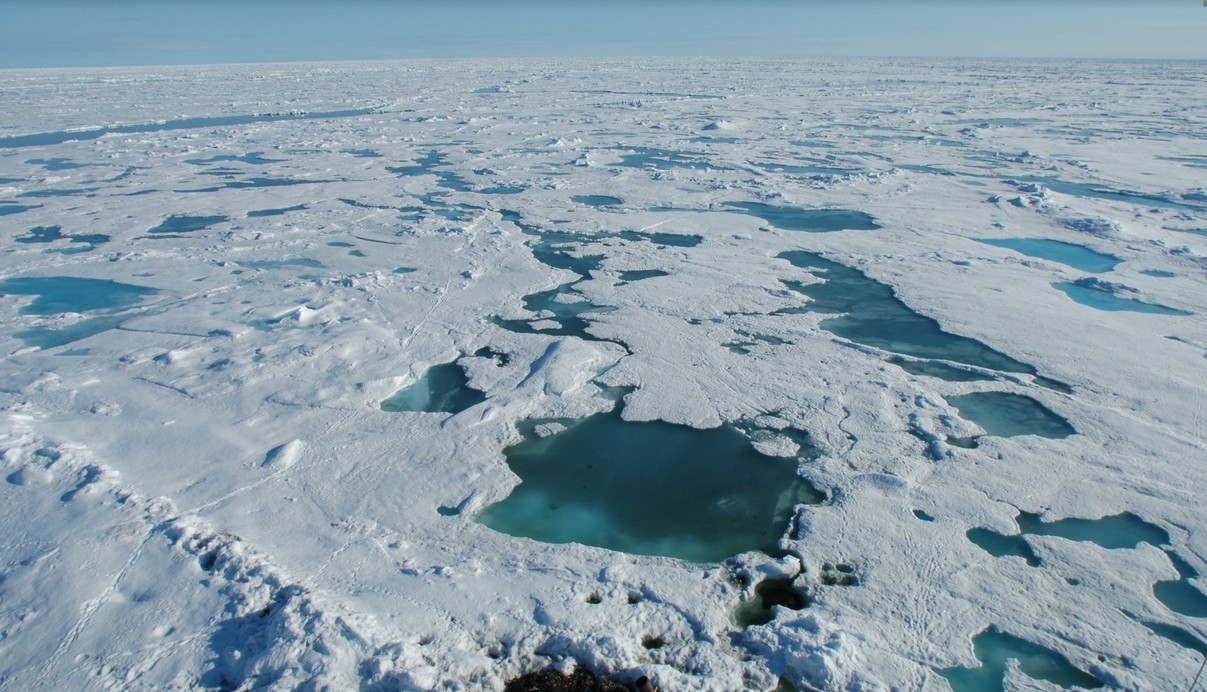 l'Arctique