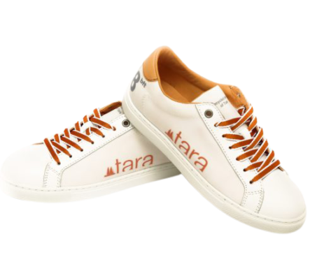 Tara sneakers - Limited edition