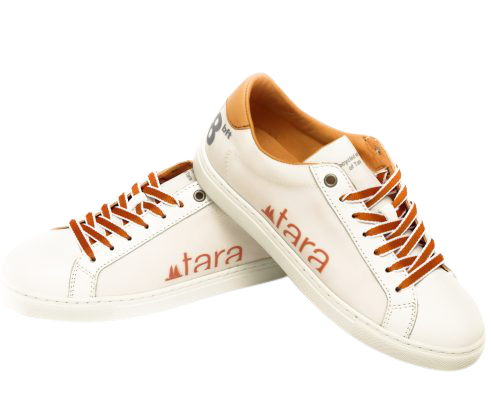 Sneakers tara - Edition limitée