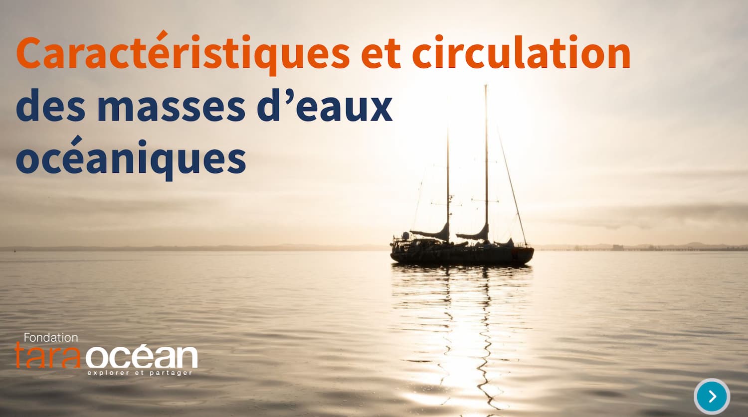 Kit de données pédagogiques