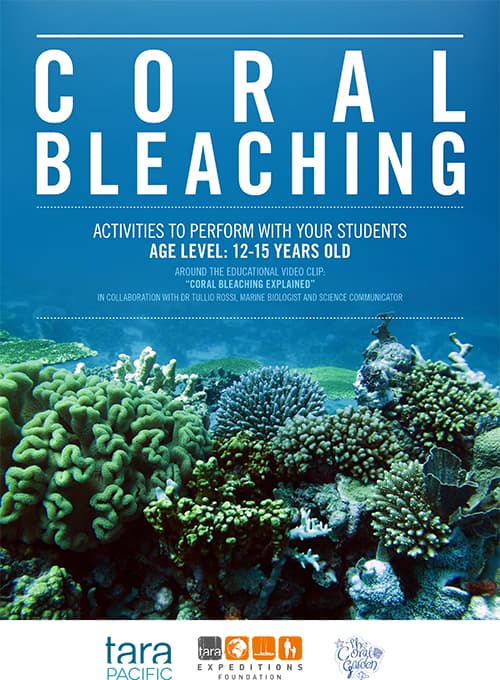 Fiche Coral Bleaching 12-15 ans