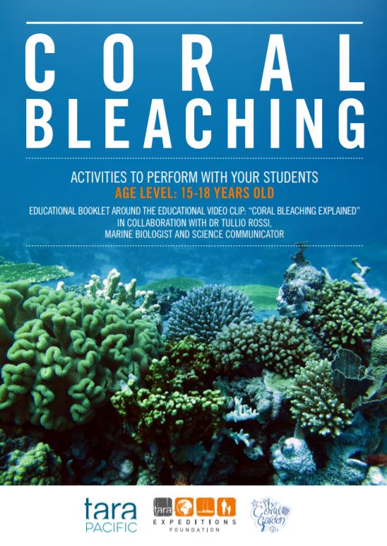Fiche Coral Bleaching 15-18 ans