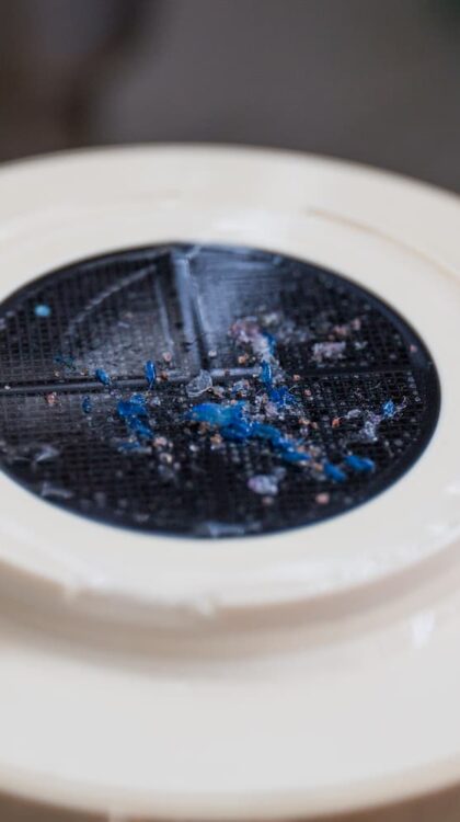 Échantillon de plancton après filtrage à travers un filtre de 10 microns.©Sarah_Fretwell // Fondation Tara Ocean