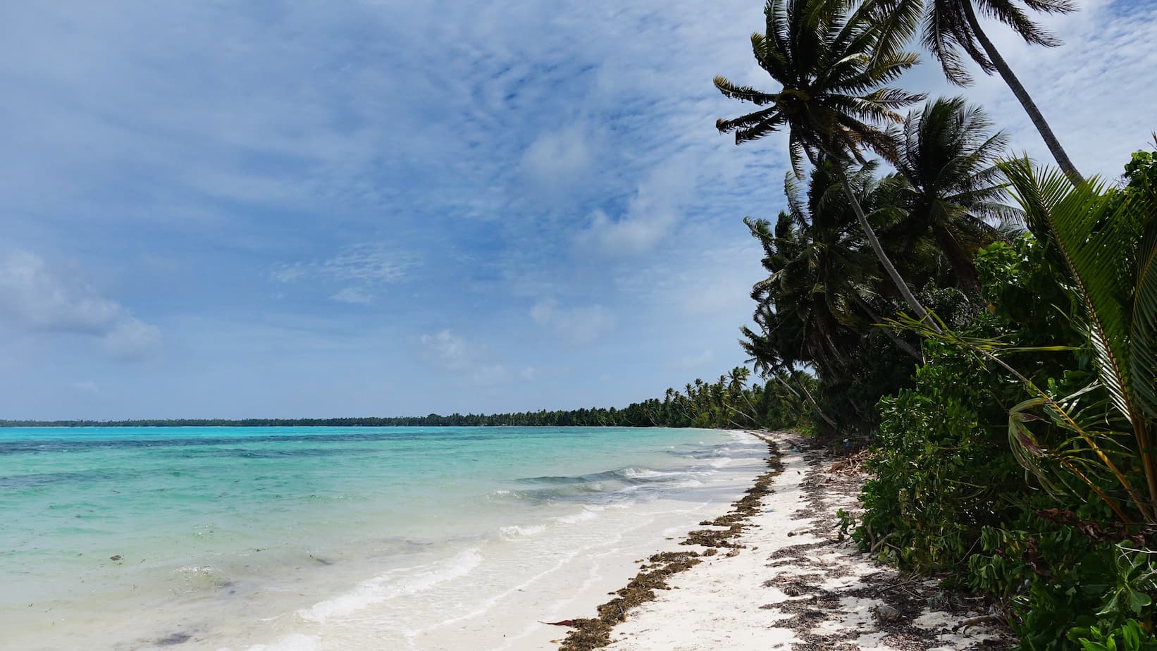 La rencontre entre les palmiers et la plage marque l’arrière-cour de la plupart des résidents de l’Île Abaiang dans les Kiribati