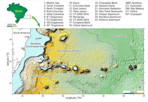 Carte topographique des monts sous-marins au large des côtes brésiliennes
