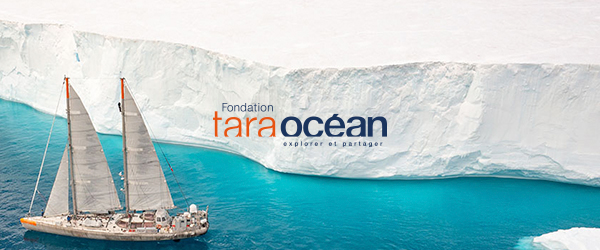 Fondation Tara Océan