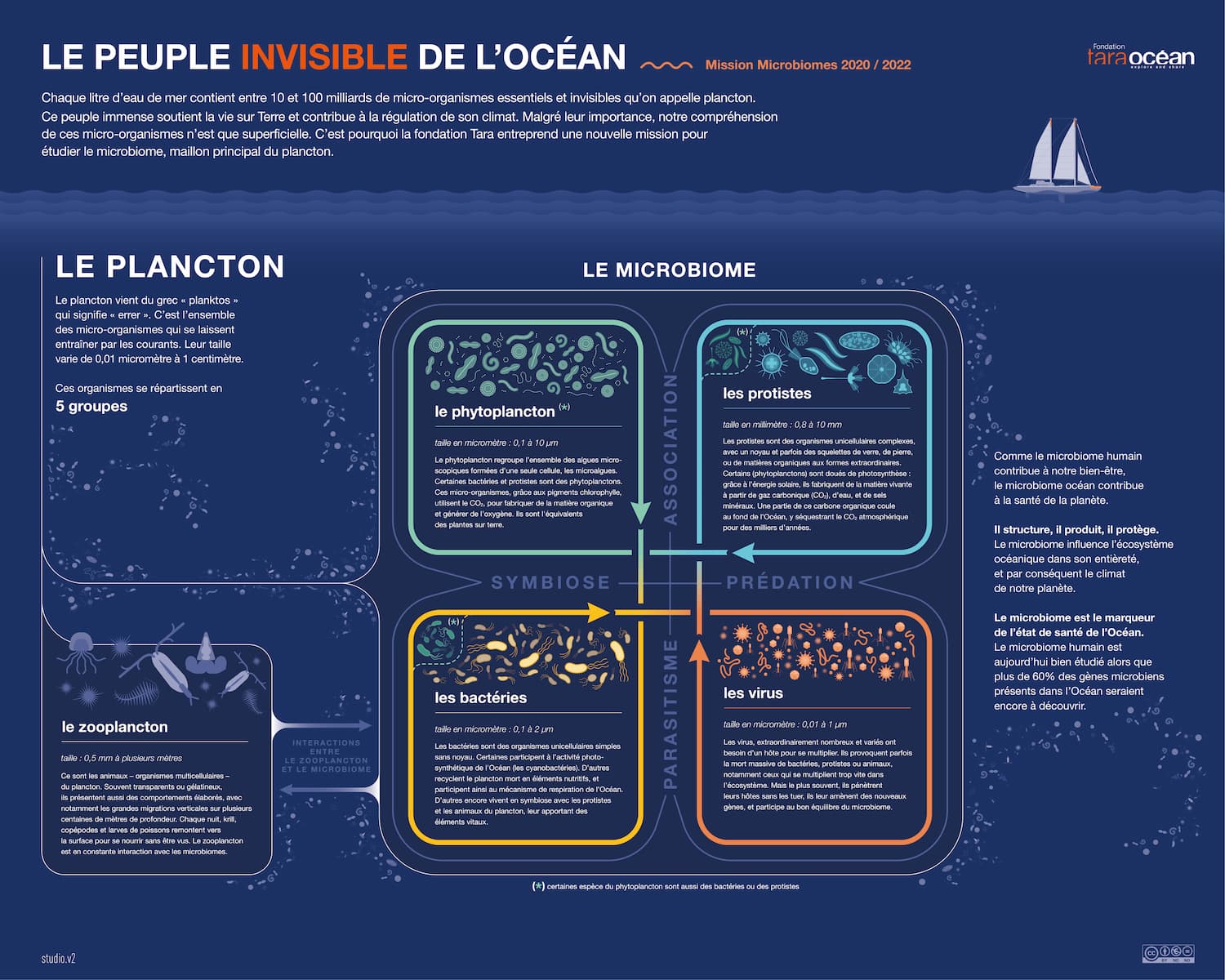 Infographie sur la Mission Microbiomes : plancton marin
