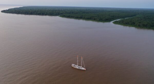 Tara navigue dans l'Amazone