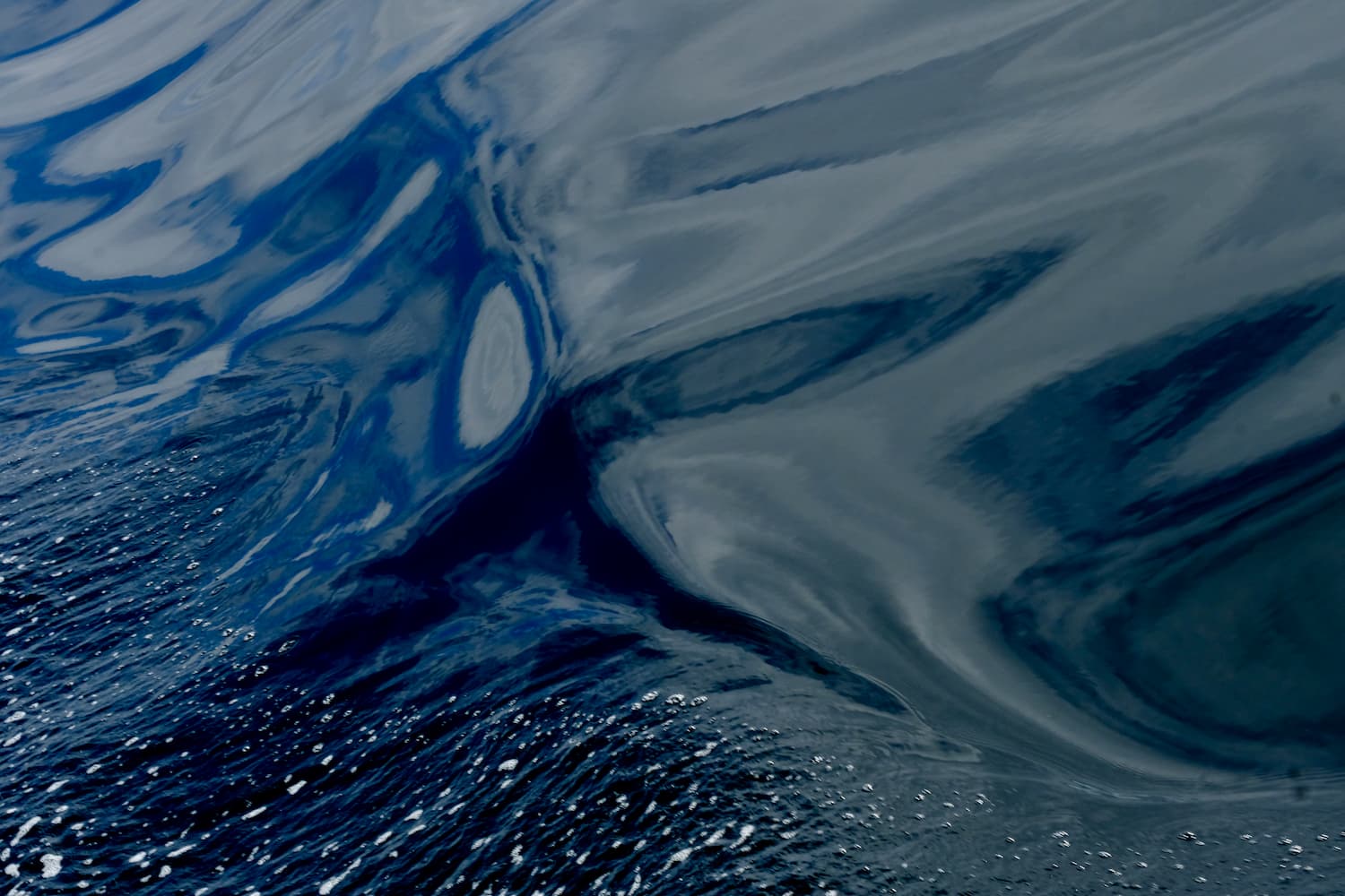 Œuvre de François Aurat : Photo du reflet dans l'eau en Patagonie 2021