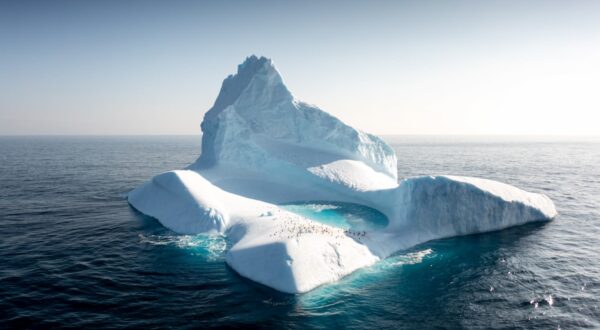 Iceberg en Antarctique 2022
