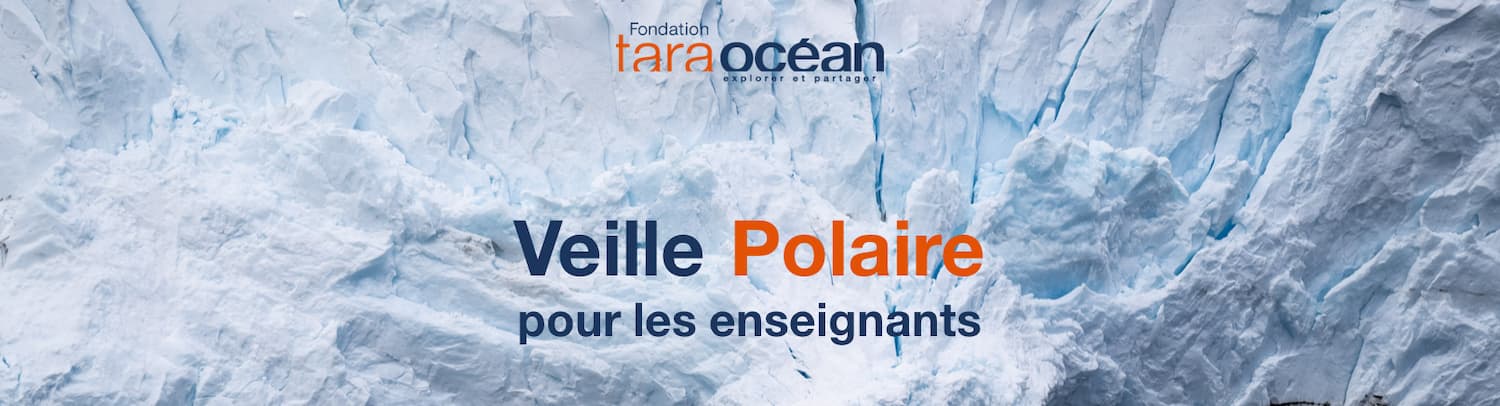 Veille Polaire - Fondation Tara Océan