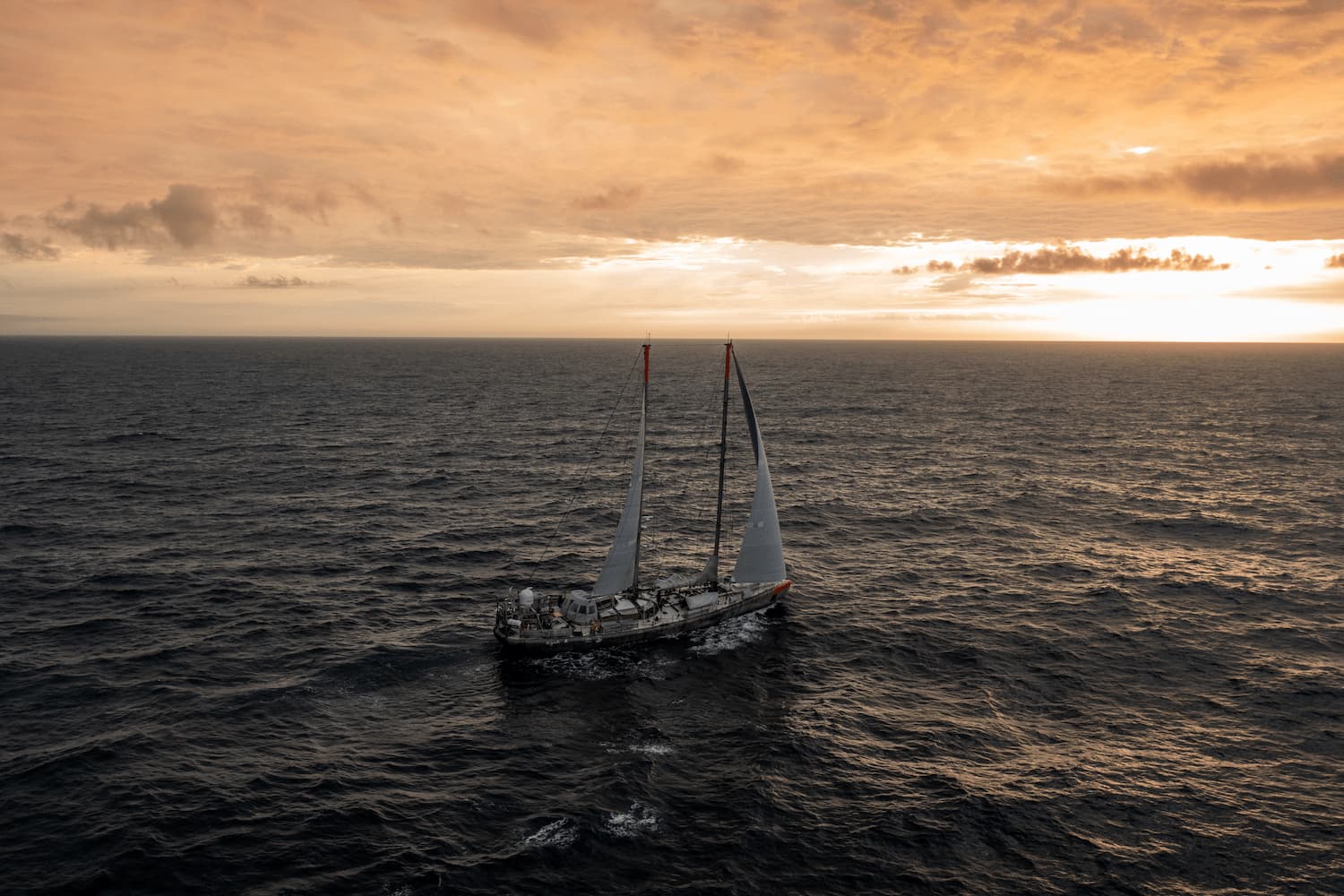 La goélette Tara naviguant au soleil couchant