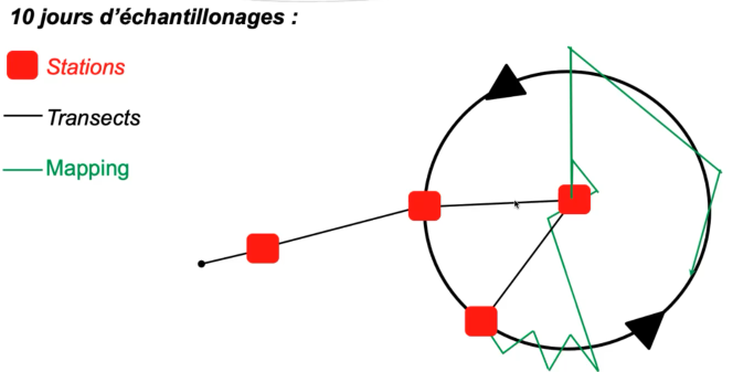 Schématisation du plan d’échantillonnage