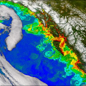 Est-il possible de mettre en évidence une modification des communautés planctoniques sous l’effet des tourbillons océaniques ?