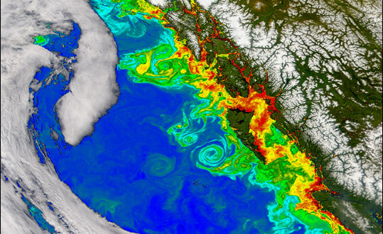 Tourbillons océaniques - Source : NASA