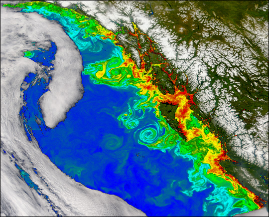Tourbillons océaniques - Source : NASA