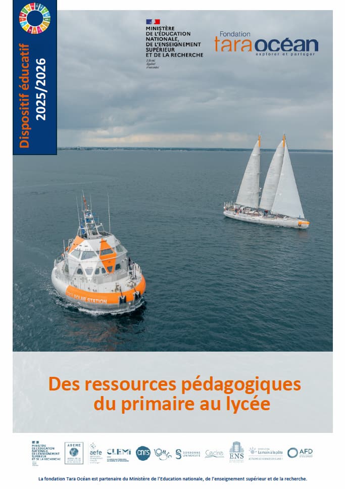 Plaquette de l'offre pédagogique 2024-2025