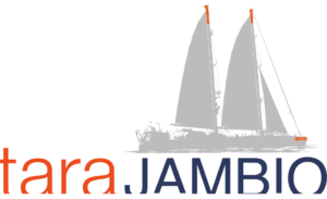 Logo Tara Jambio