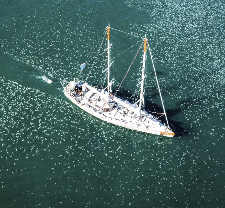 Retour de la goélette Tara à Lorient