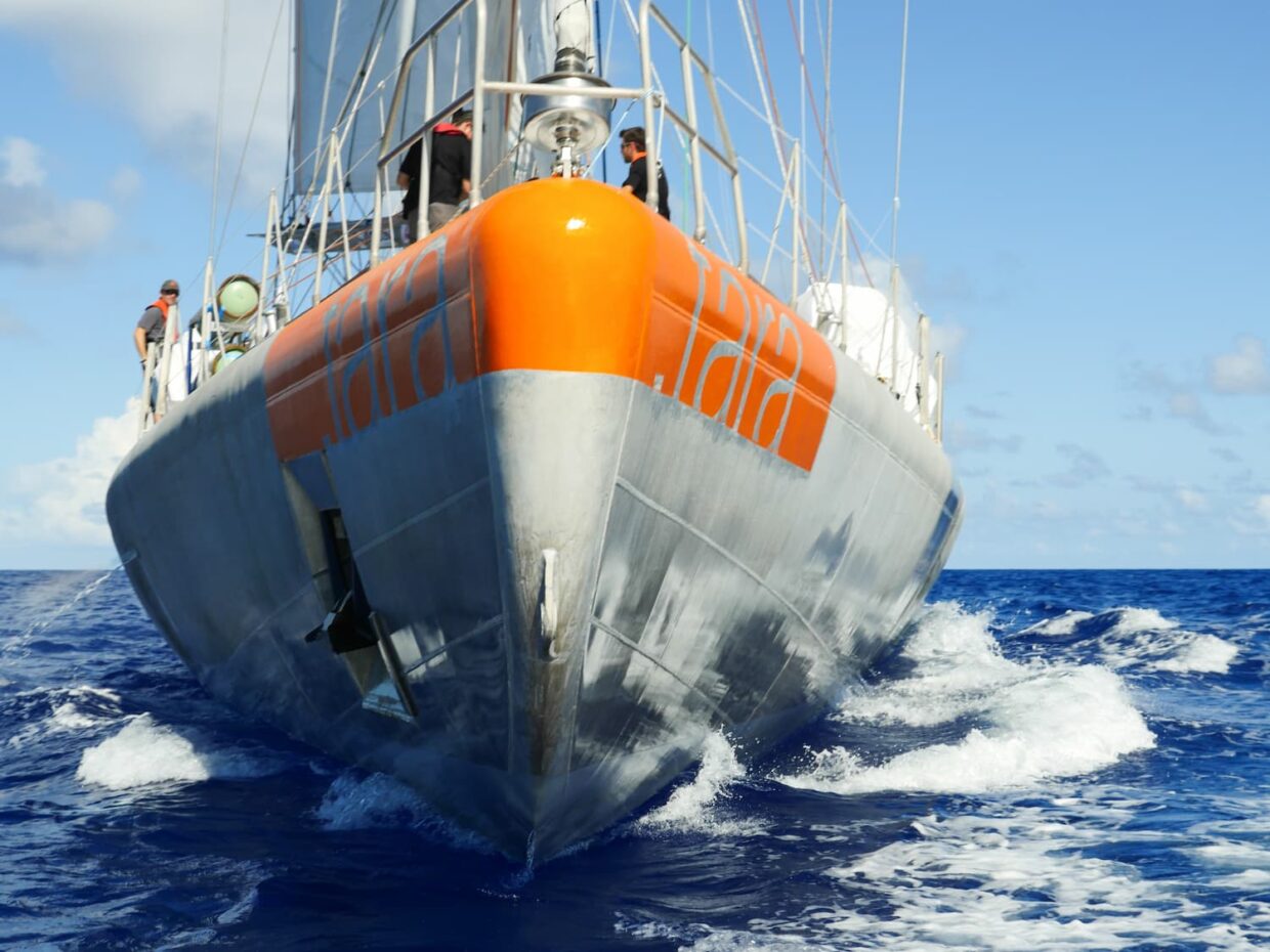 Tara en navigation