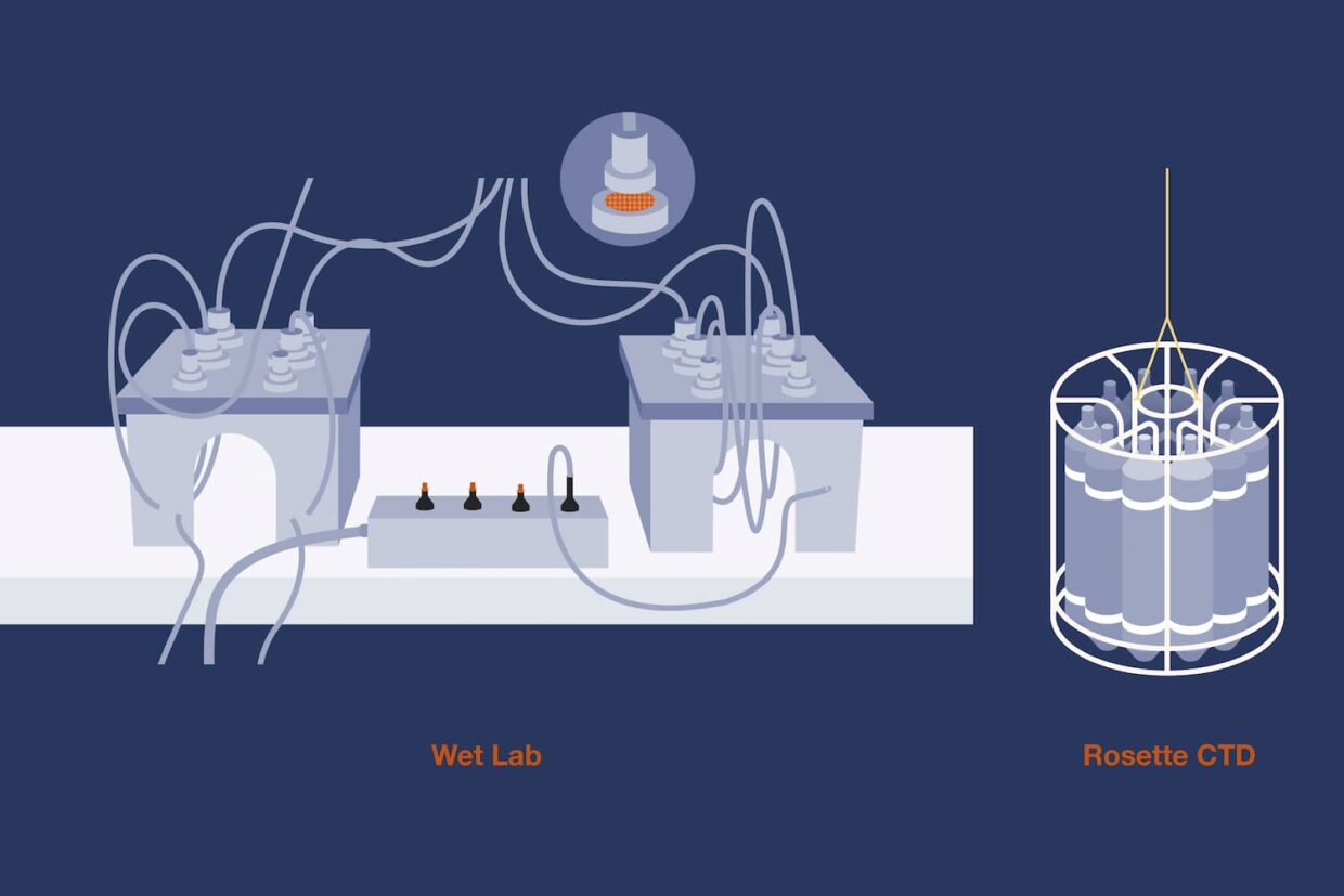 Schéma du Wet lab et de la rosette CTD