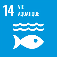 SDG 14 – Aquatic Life