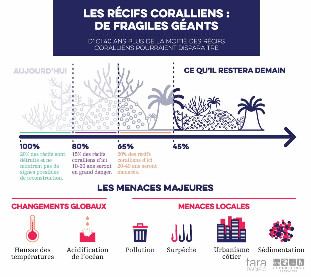 Infographie : Menaces sur les récifs coralliens