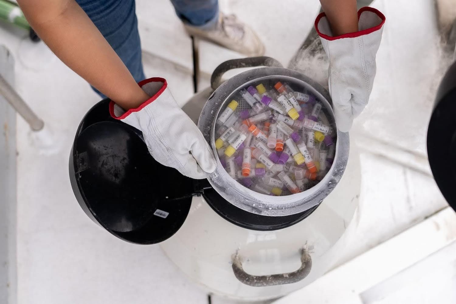 Conservation des échantillons dans l’azote liquide