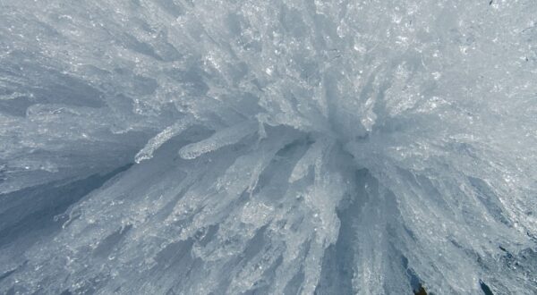 Glace - Tara Arctic