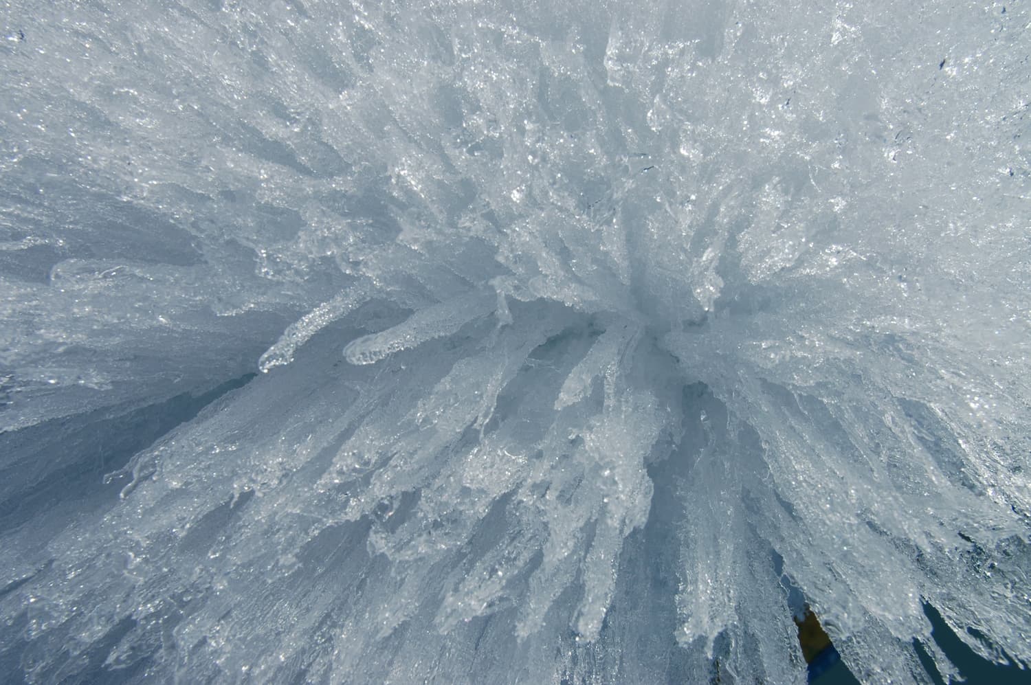 Glace - Tara Arctic