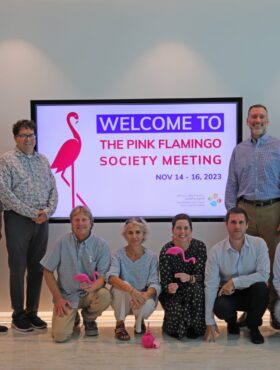 La Pink Flamingo Society : un groupe international de scientifiques au service de la recherche marine