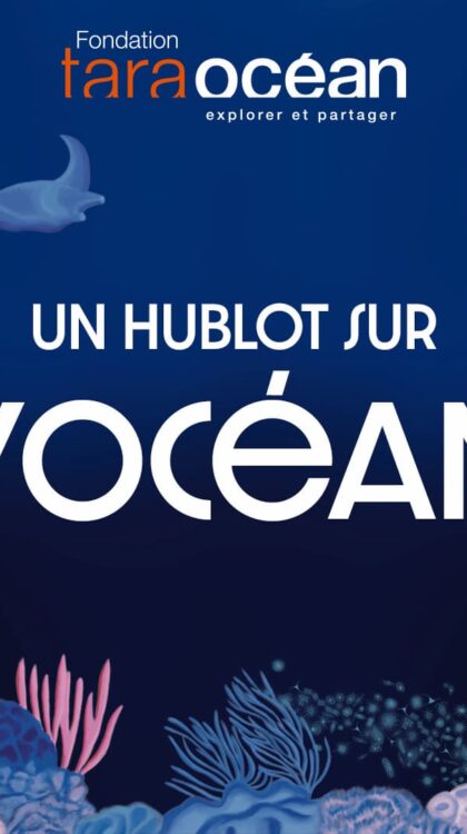 Un hublot sur l'Océan
