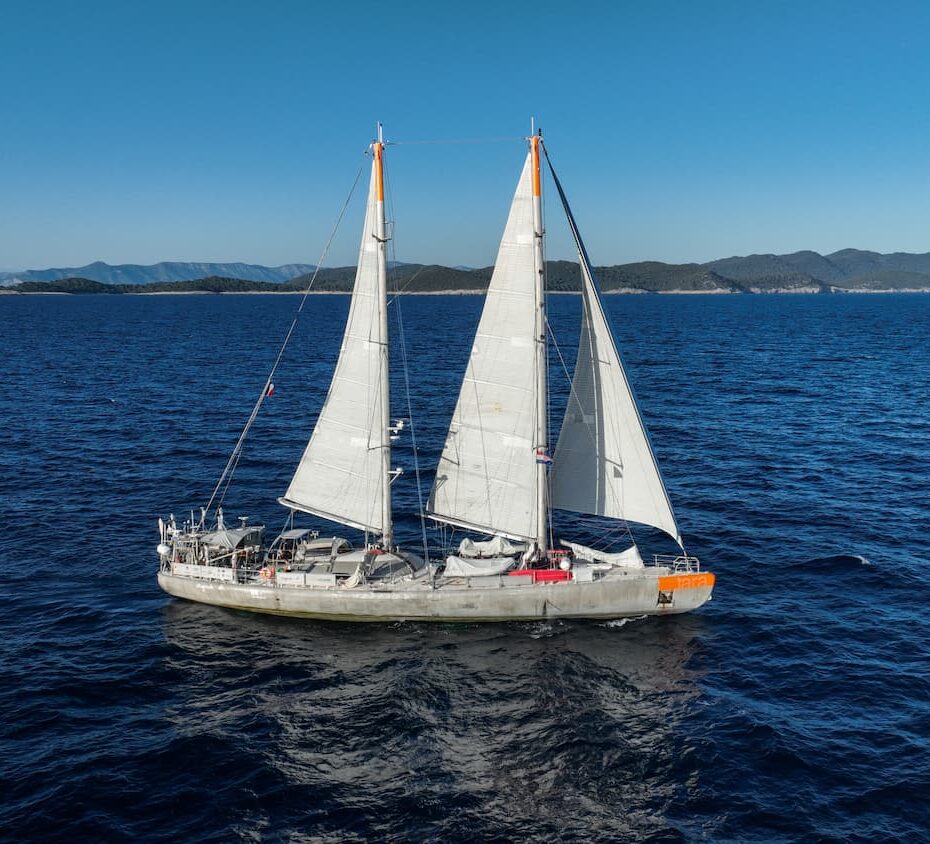 Tara Adriatique