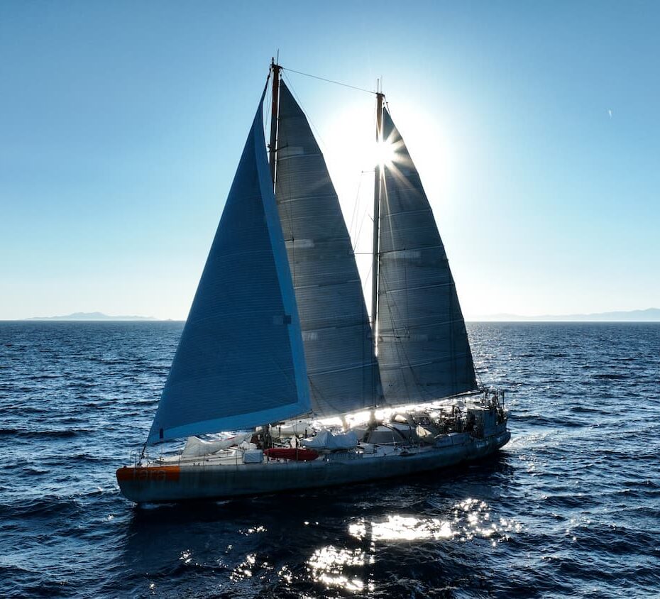 Tara sous voiles