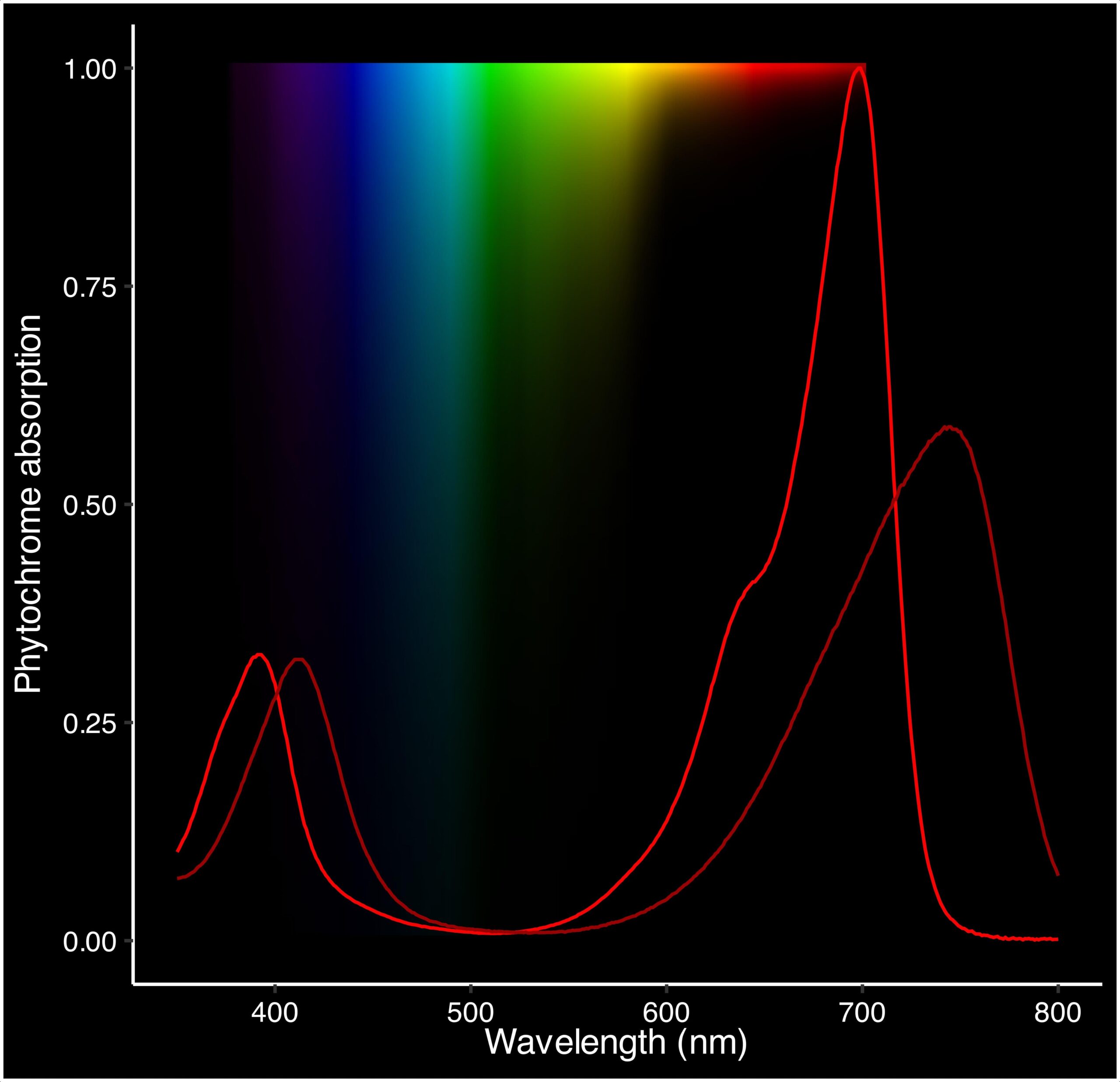 Distribution de la lumière et de sa composition spectrale dans la colonne d’eau