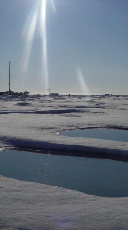 Tara sur la banquise en Arctique @ Grant Revers - Fondation tara Océan