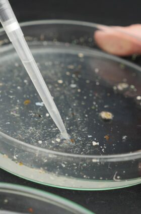 Micro-plastiques, la face cachée d’une pollution globale