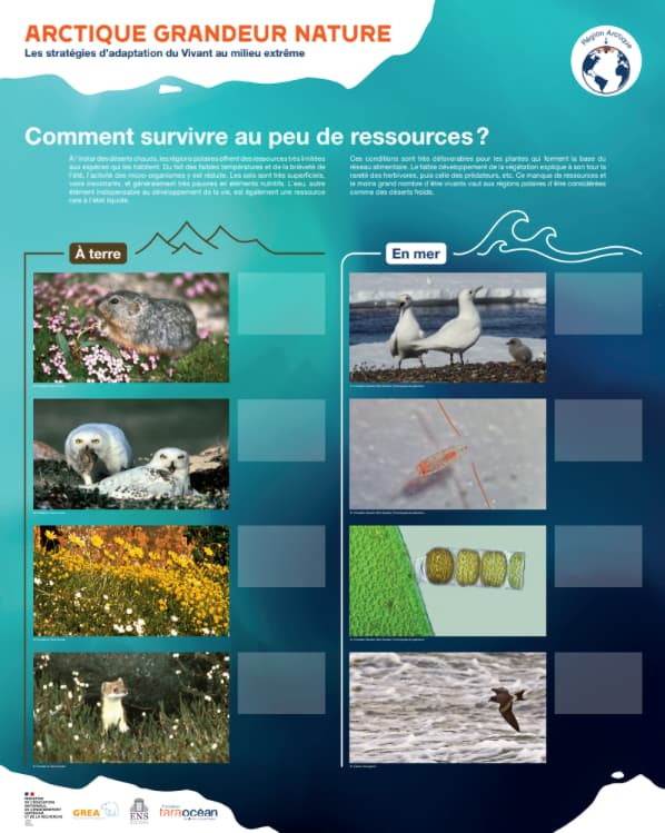 Exposition pédagogique « Arctique Grandeur Nature »